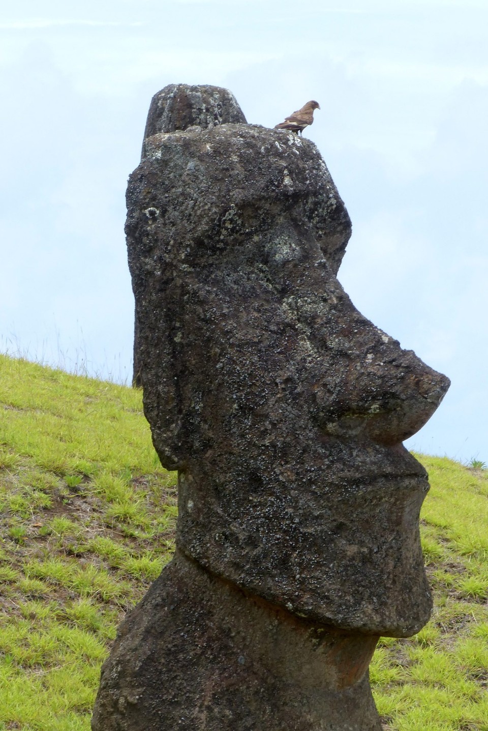 Chile - Osterinsel - Rano Raraku