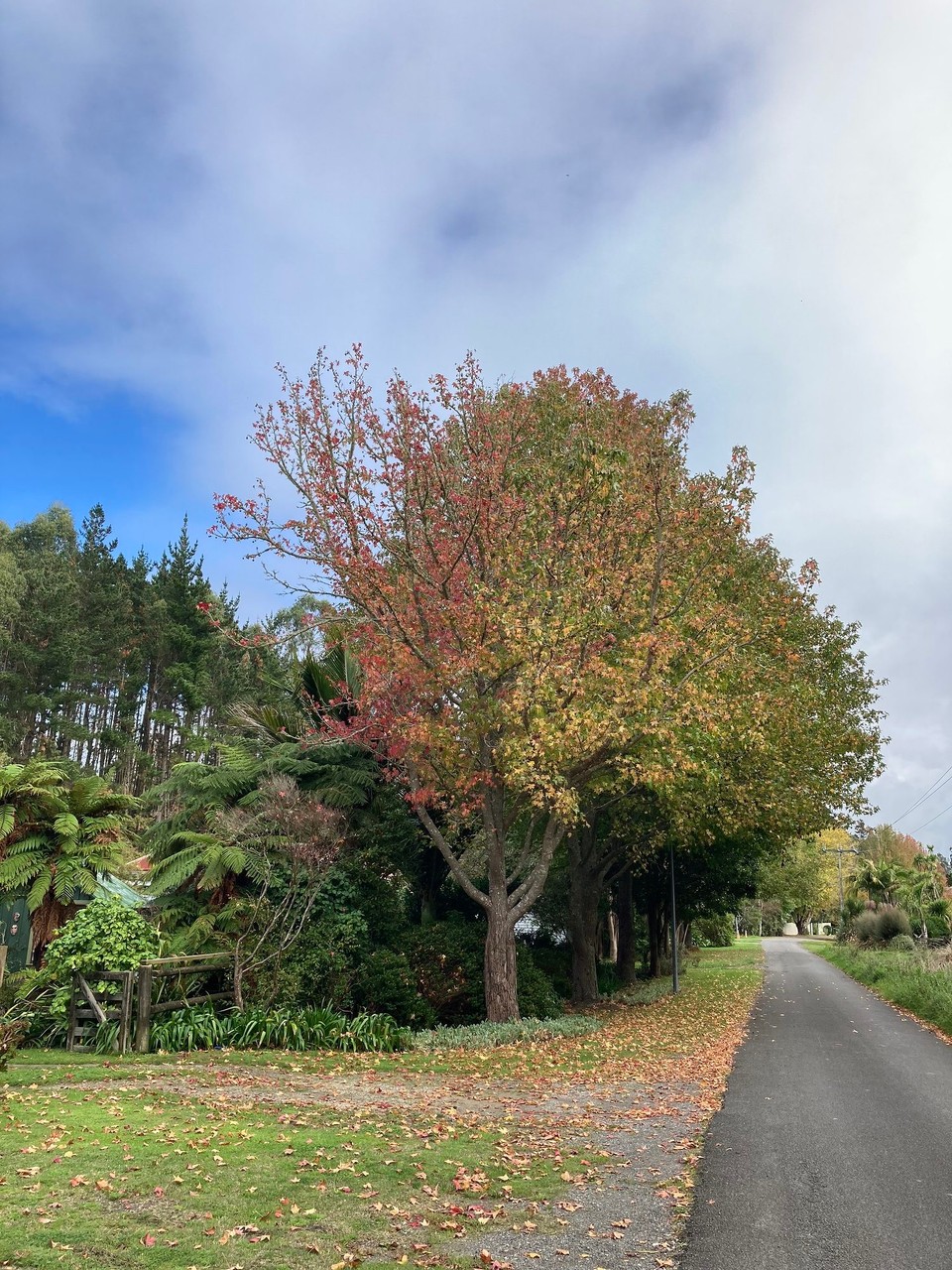 Neuseeland - Gisborne - 