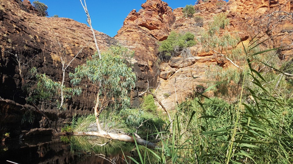 Australien - Petermann - Wasseroase des Kathleen Sprinks Walk