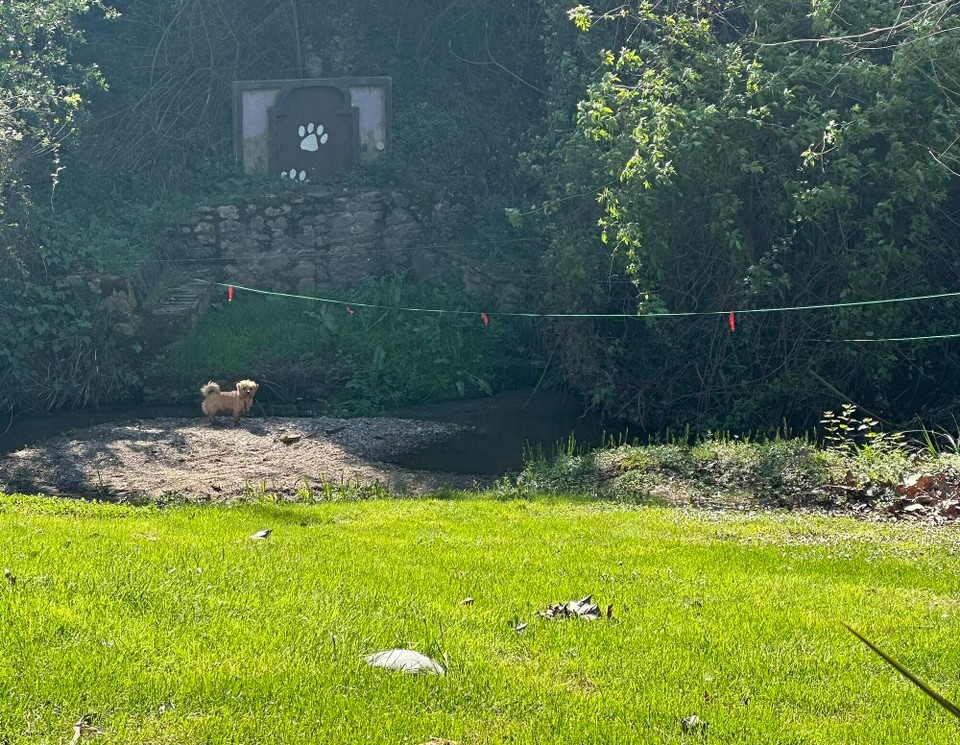 Spanien - Vilademuls - 