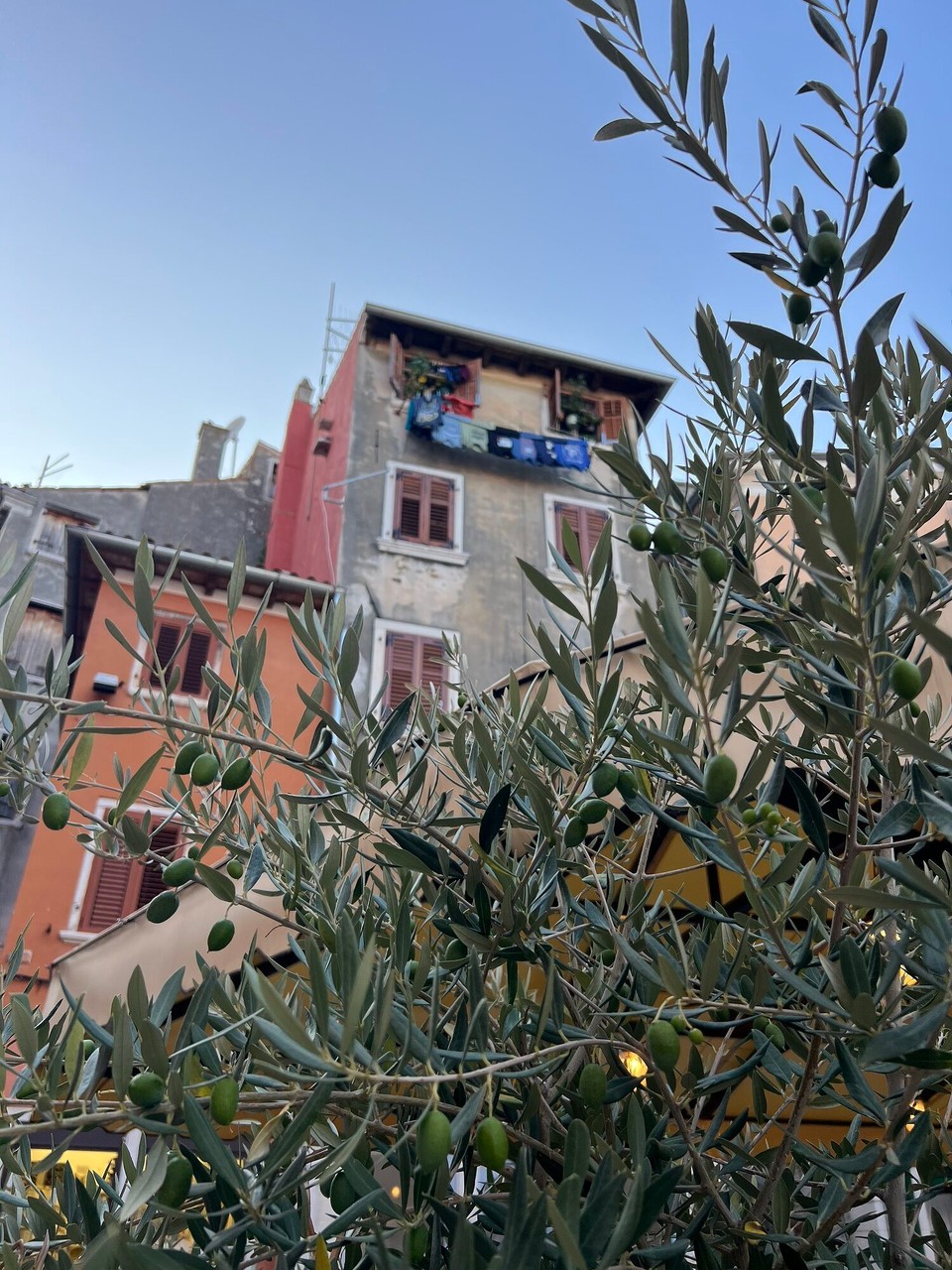 Kroatien - Rovinj - 