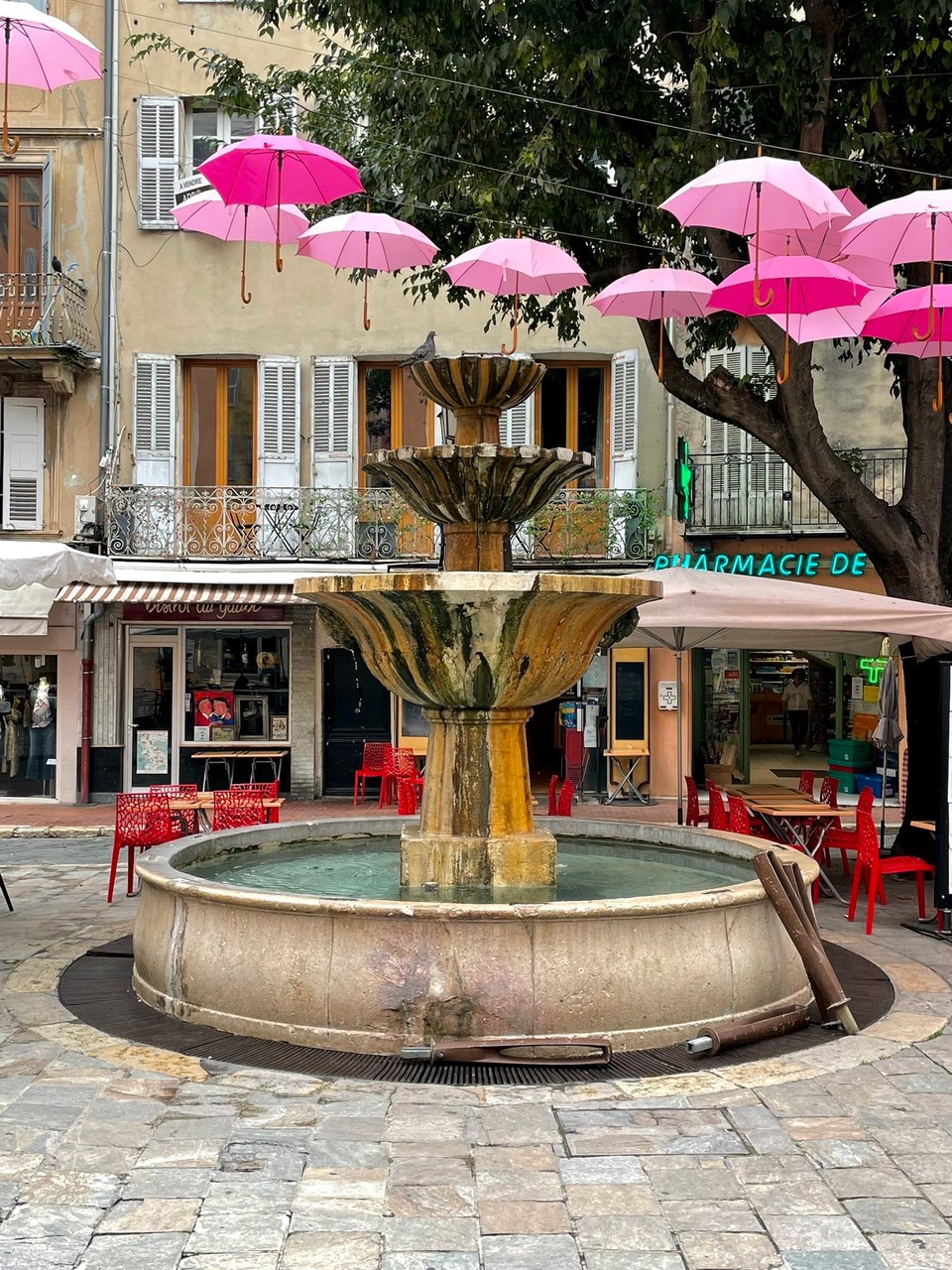 Frankreich - Grasse - 