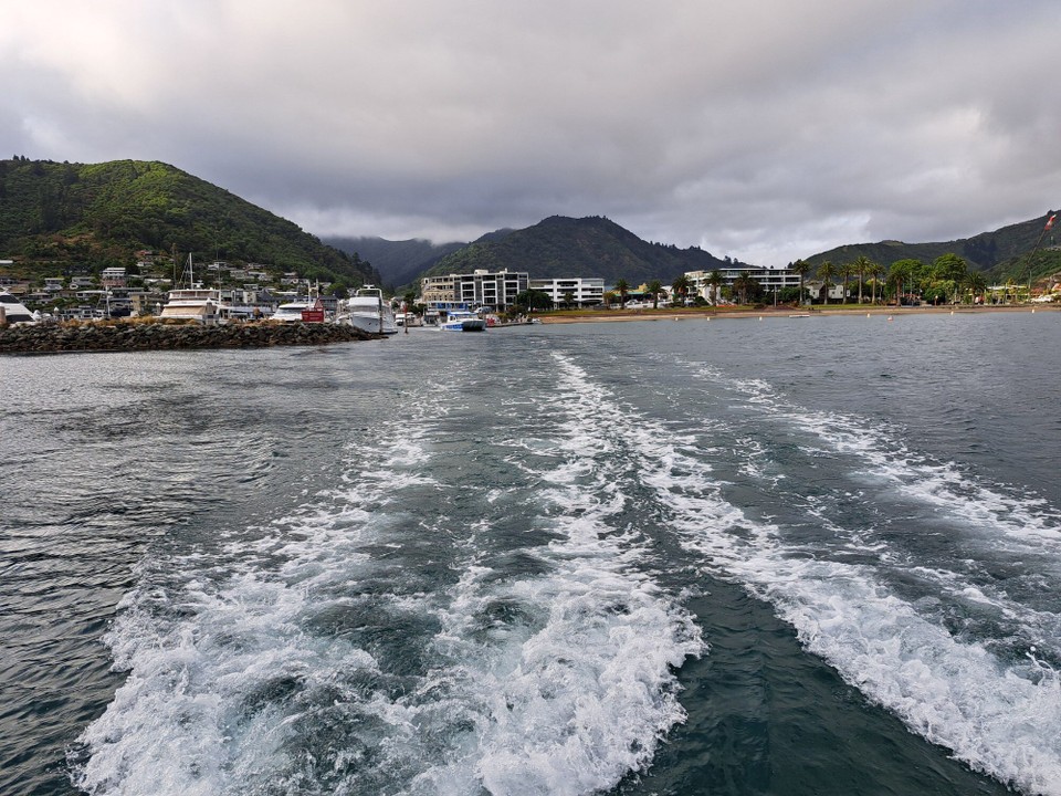 Neuseeland - Punga Cove - 