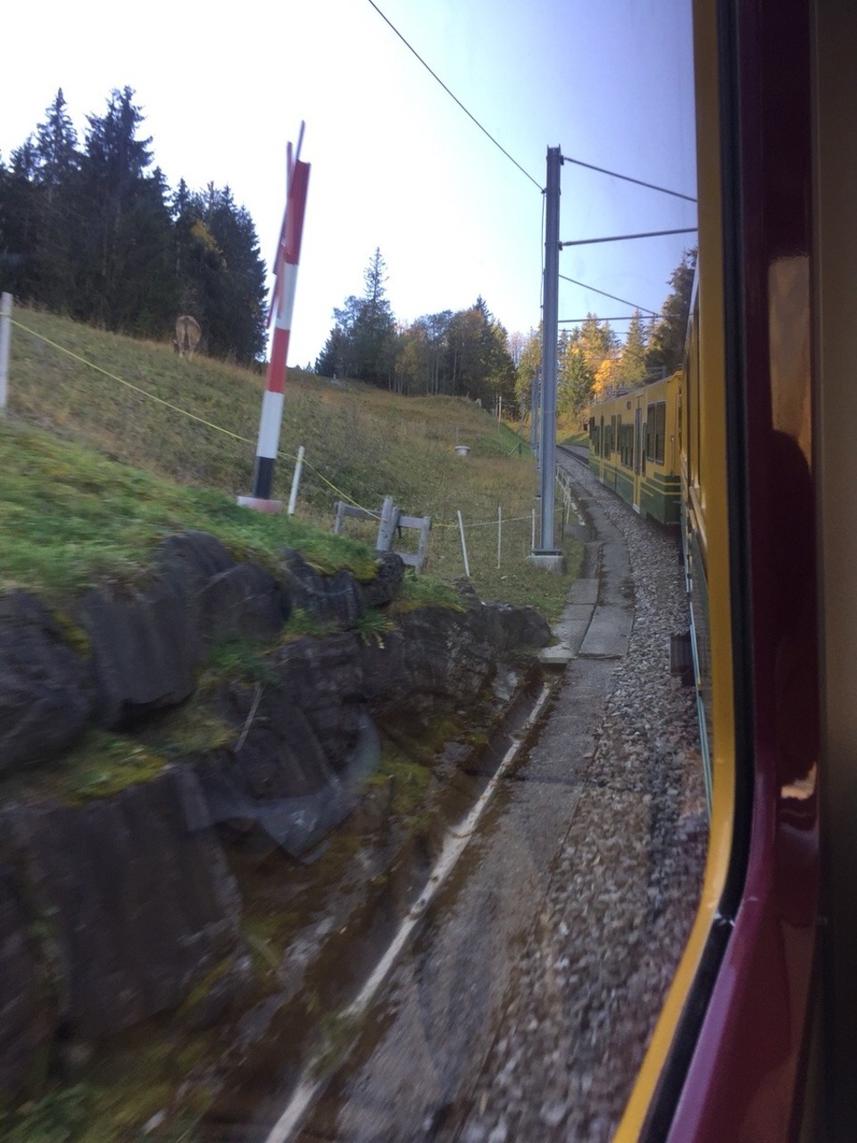 Schweiz - Grindelwald - 