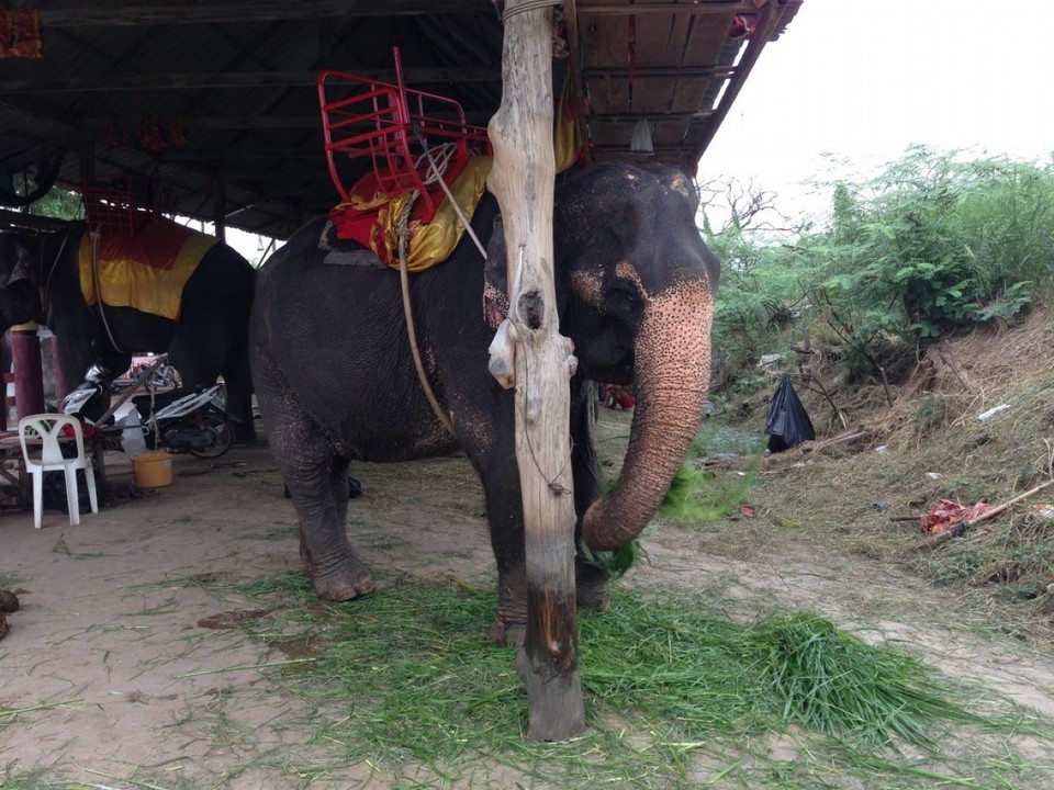 Thailand - Phra Nakhon Si Ayutthaya - 