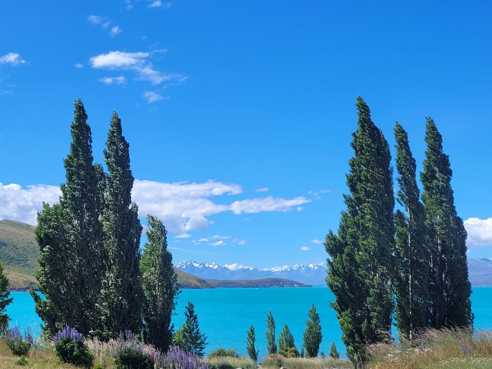 Neuseeland - Lake Tekapo - 
