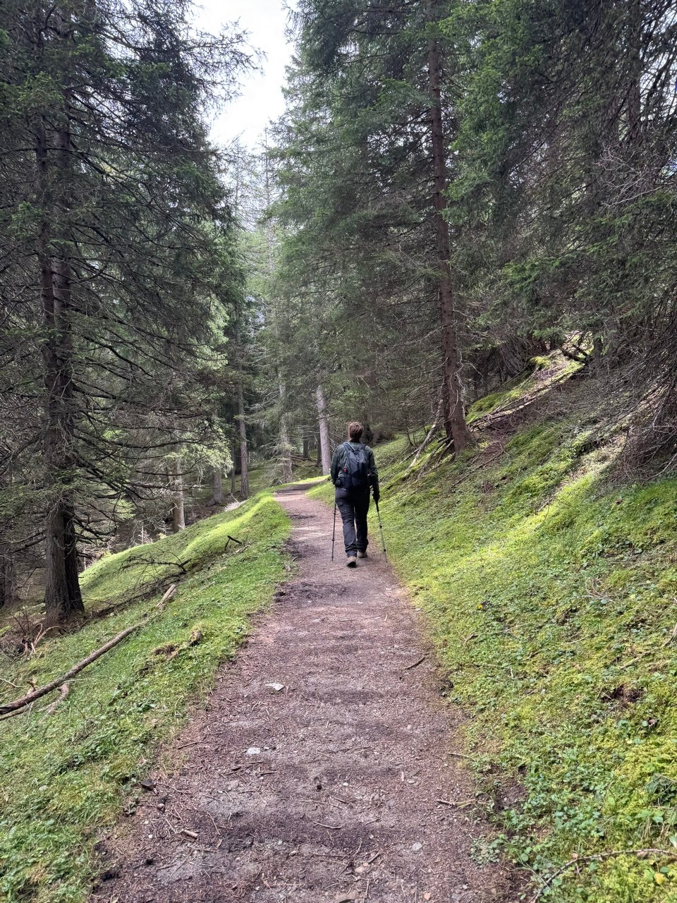 Österreich - Mühlbachl - Noch ist es grün…