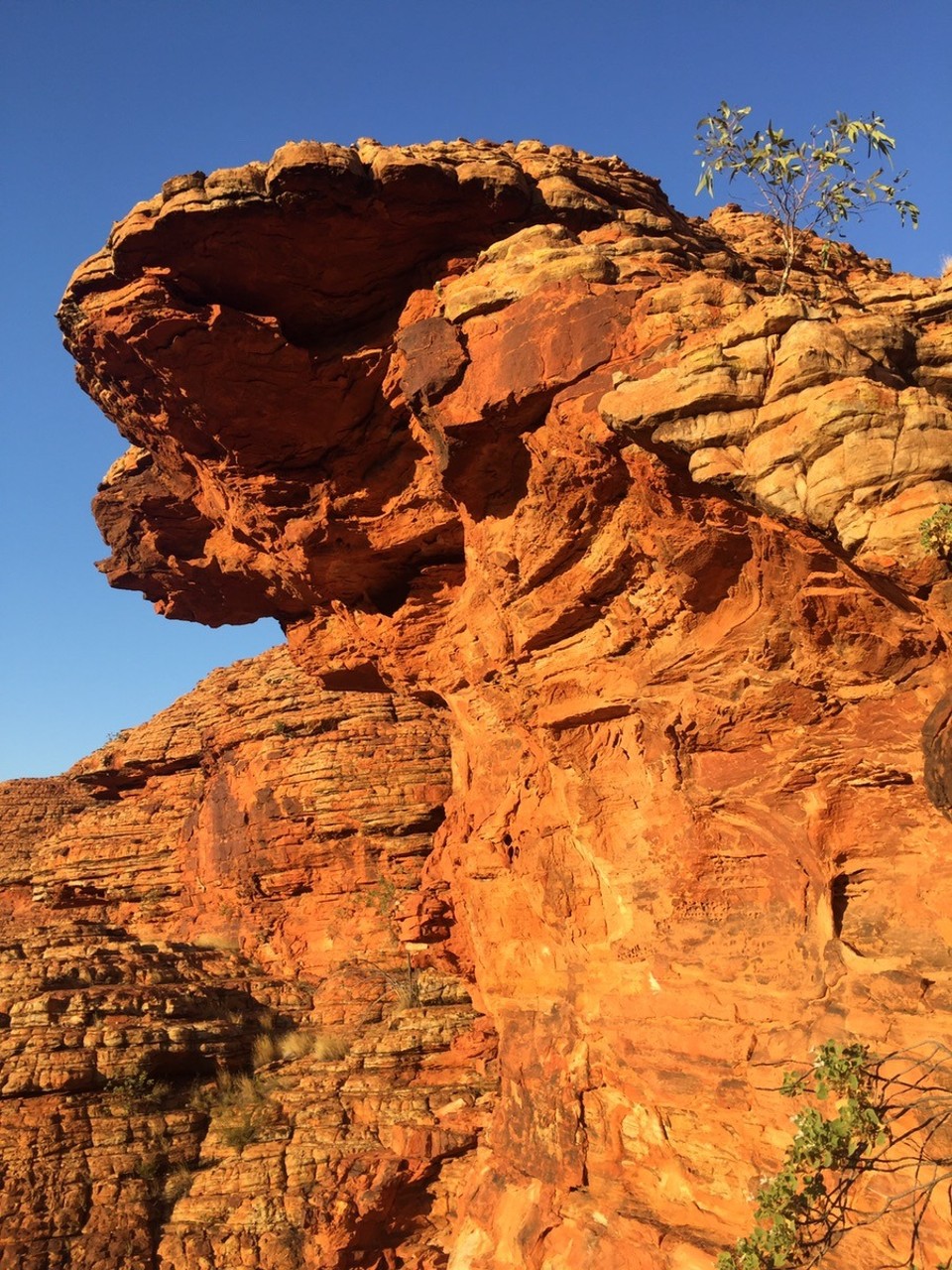 Australia -  - 