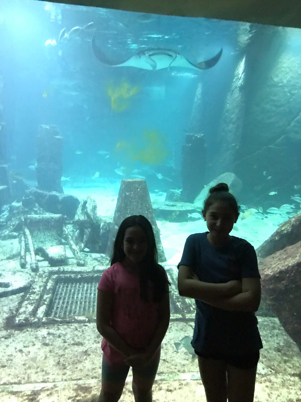 Bahamas - Nassau - 