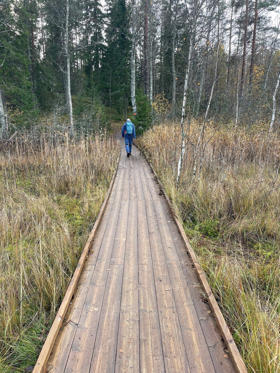 Finnland - Naantali - Luxus-Pfad 