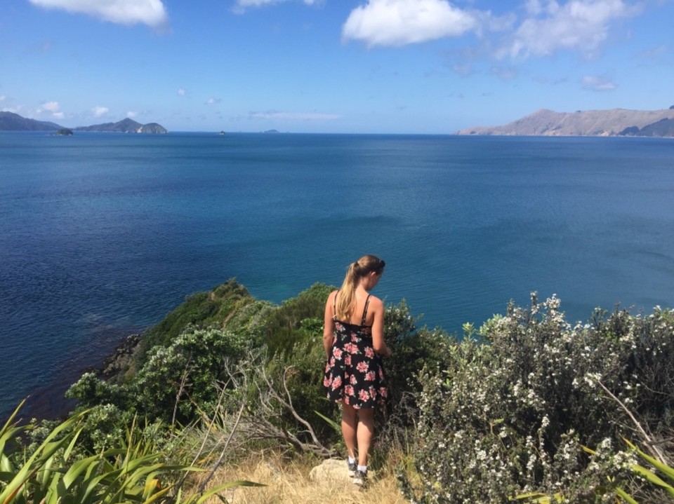 Neuseeland - French Pass - 