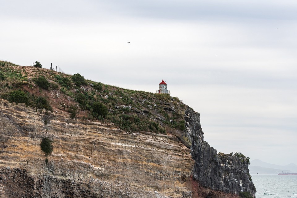 Neuseeland - Dunedin - 