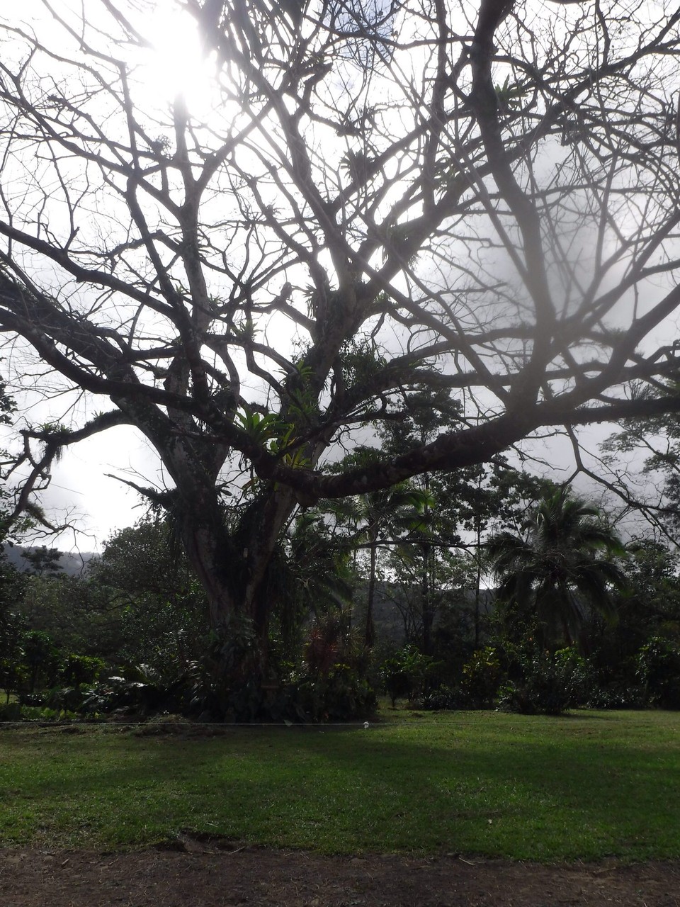 Costa Rica - Liberia - 