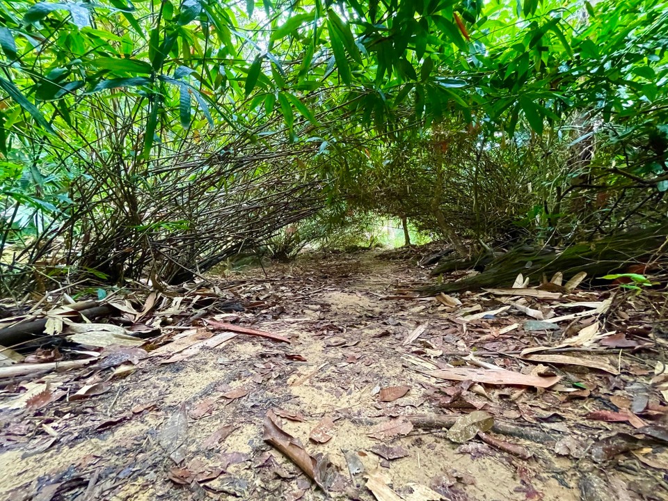 Malaysia - Jerantut - 