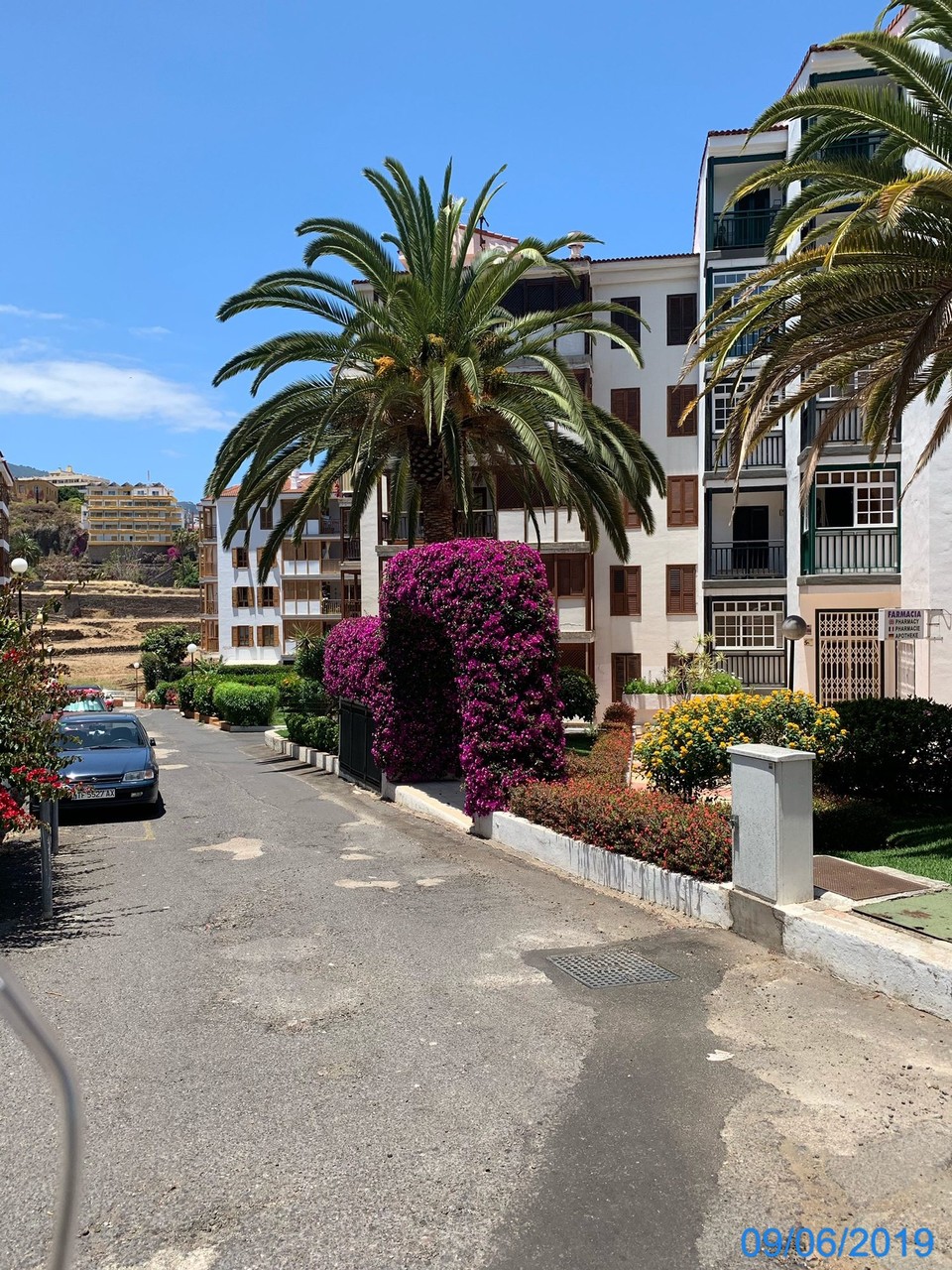Spanien - Puerto de la Cruz - 