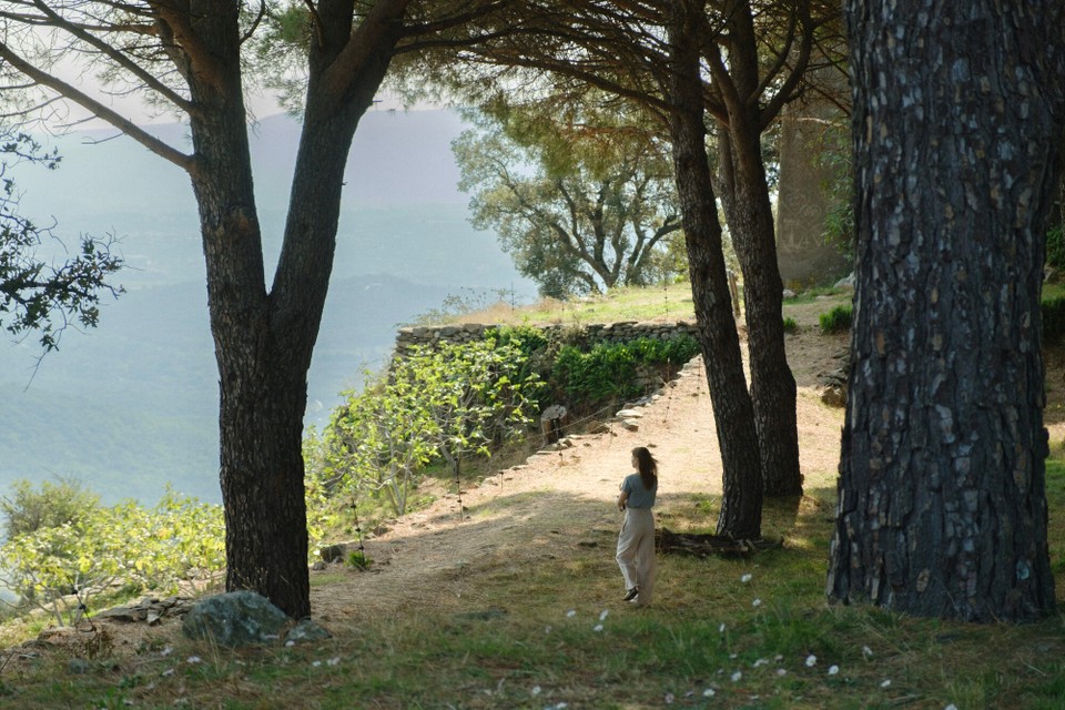 Frankreich - La Garde-Freinet - 