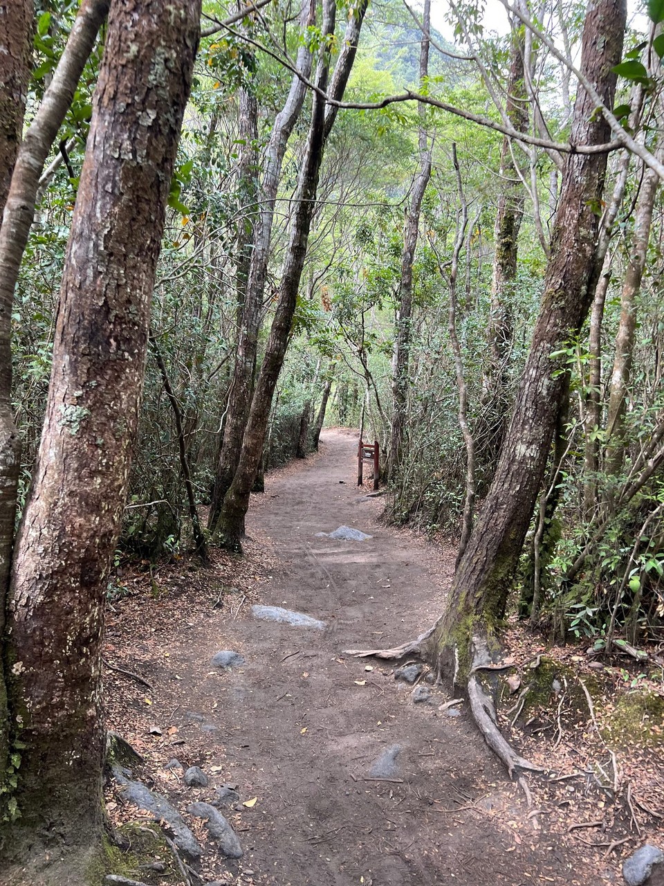 Chile - Puerto Montt - We had a bit of a tramp along the river- this was called  ‘Lovers Walk’ 