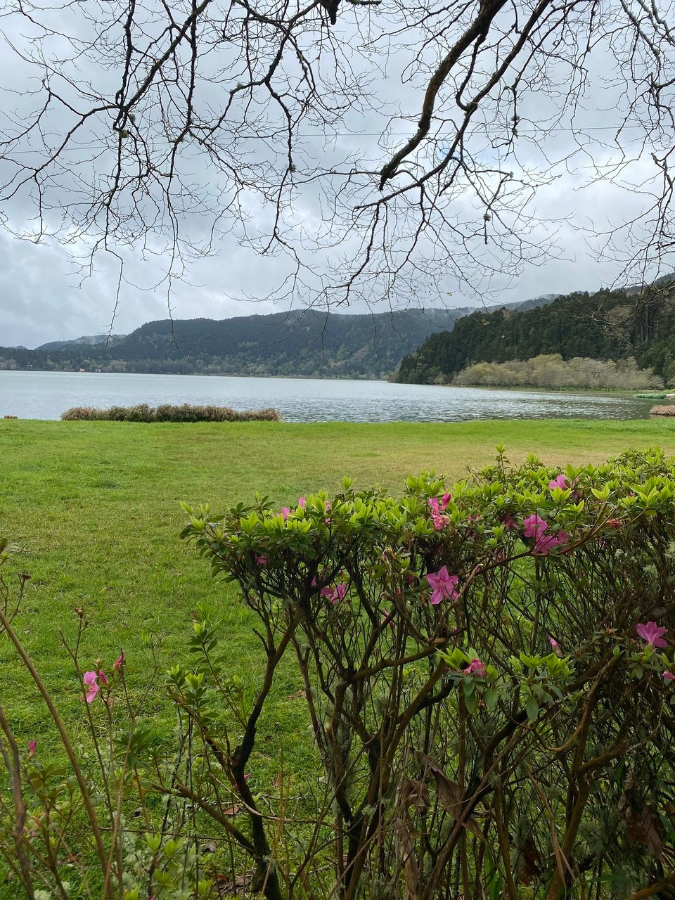 Portugal - Ponta Delgada - 