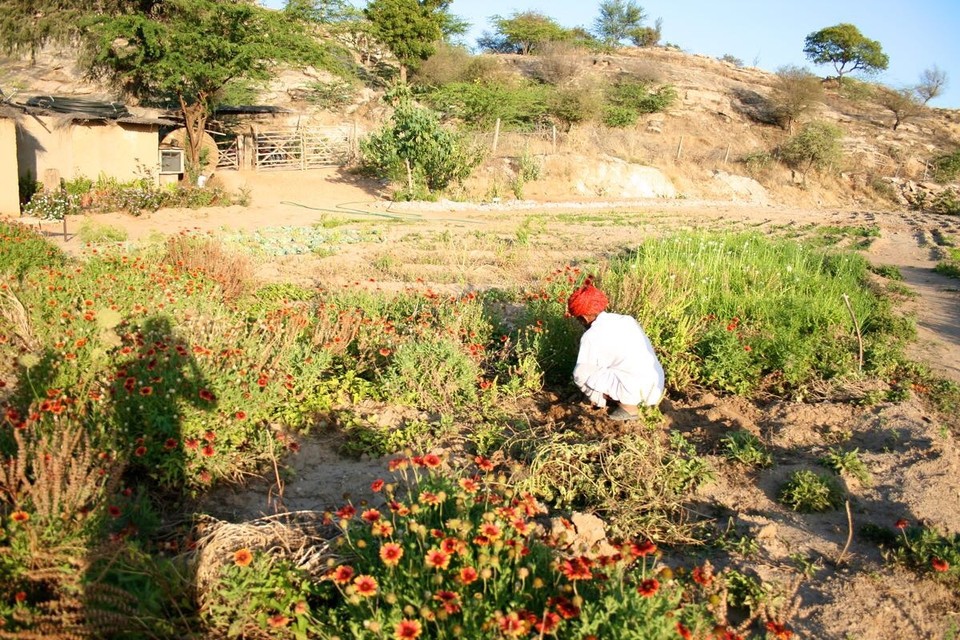 Lakshman Sagar -  - visiting the own vegetable garden