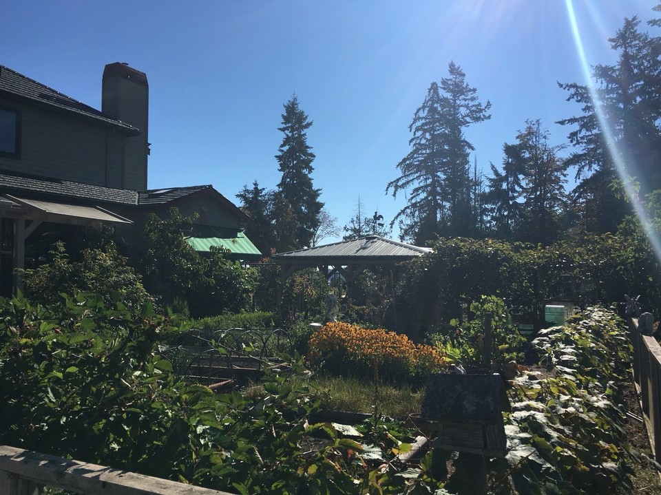 Kanada - Central Saanich - Hier kann man doch arbeiten? 