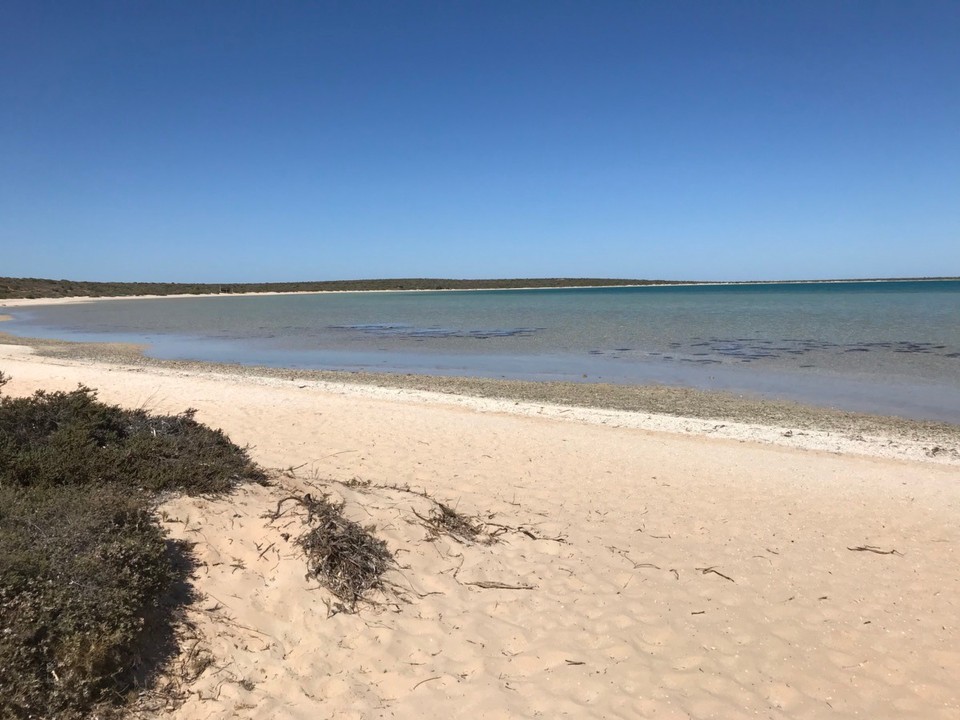 Australien - Denham - Littel Lagoon