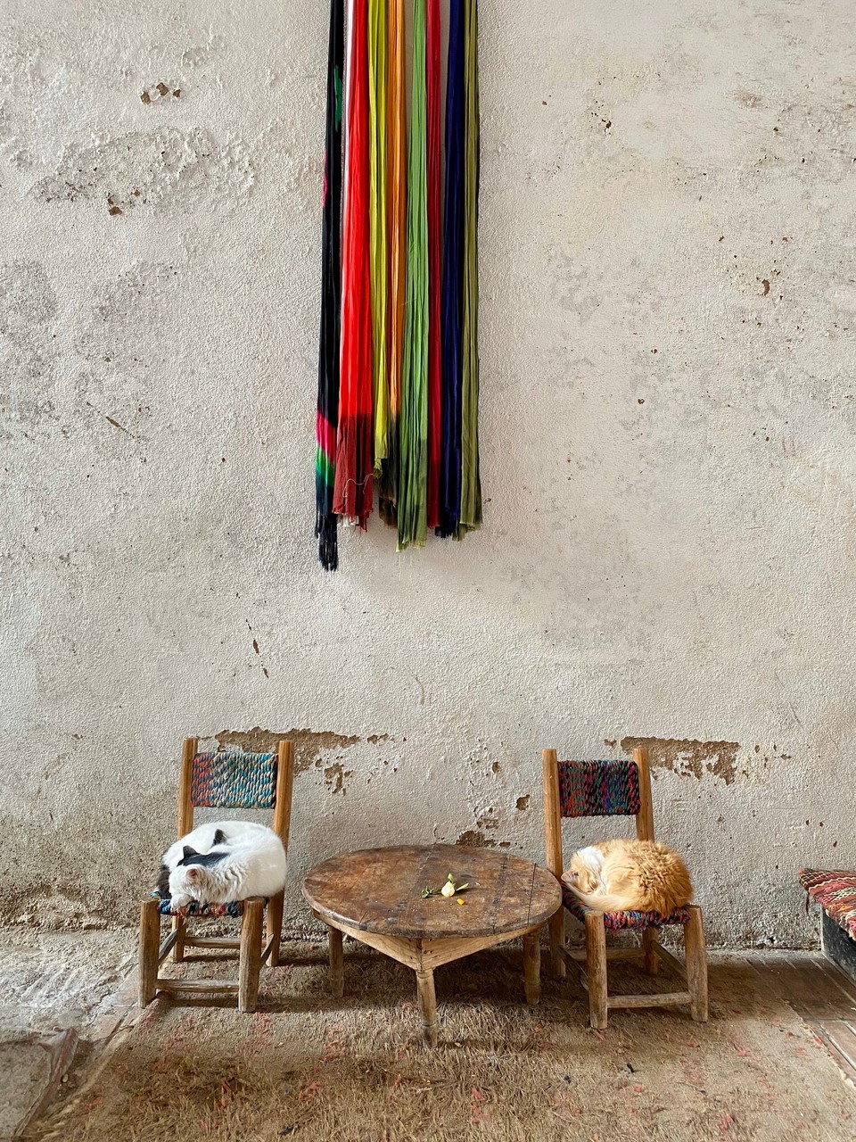 Marokko - Essaouira - 