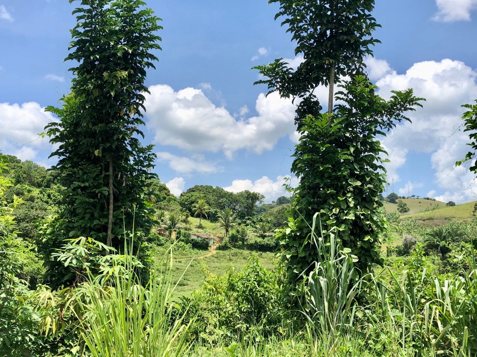 Brasilien - Valença - 