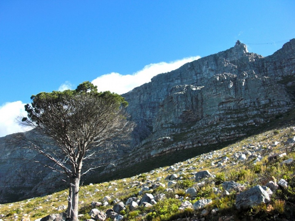 Südafrika - Kapstadt - 