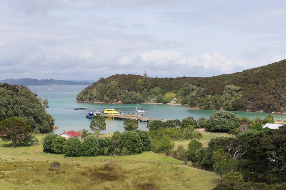 Neuseeland - Paihia - 