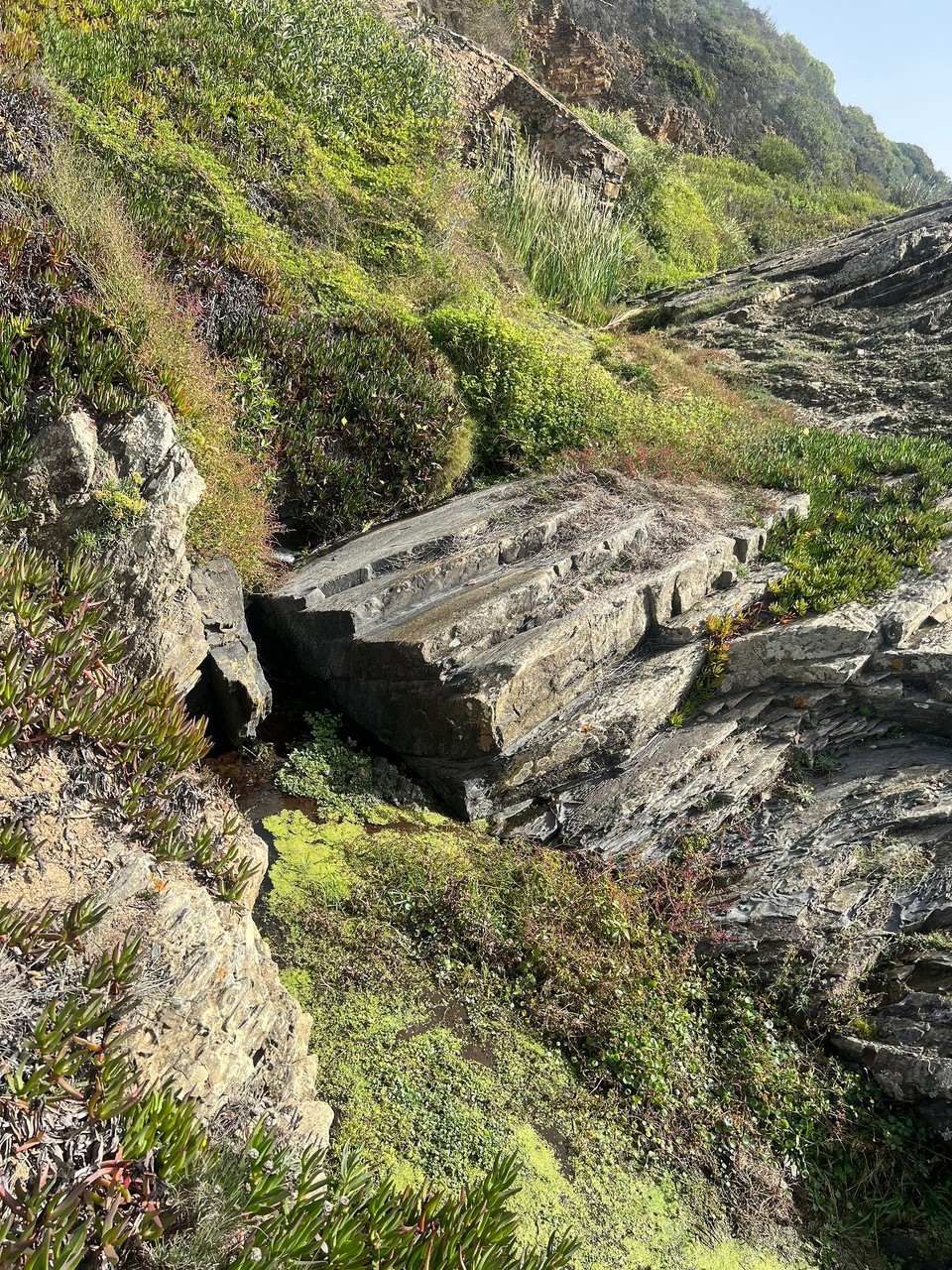 Portugal - São Teotónio - 