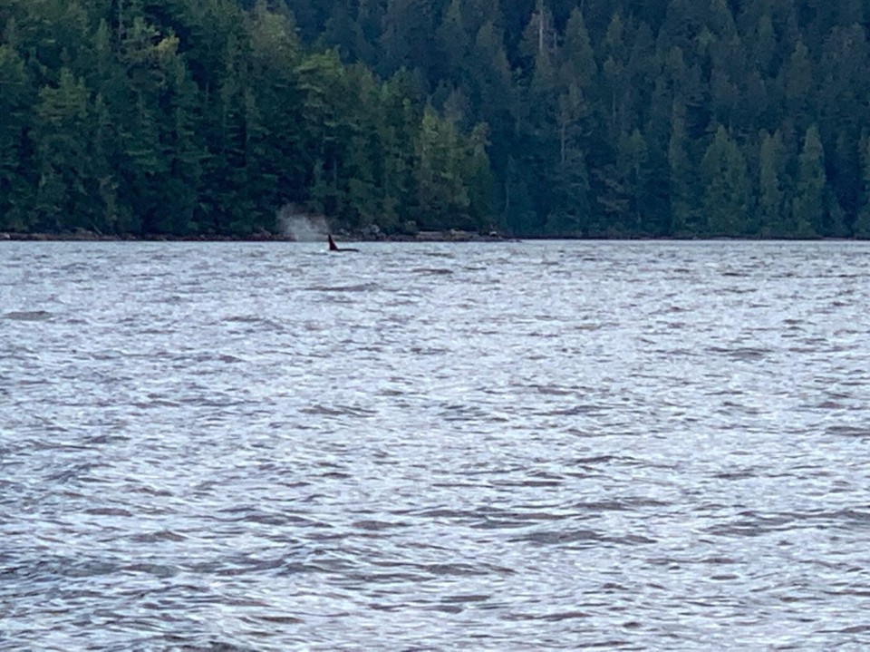 Kanada - Campbell River 11 - 