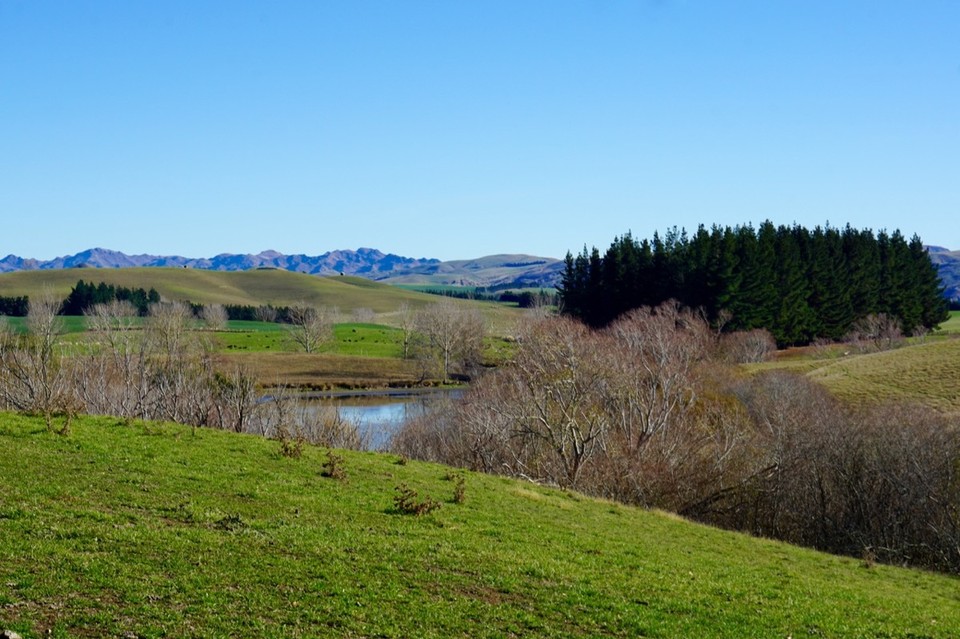 Neuseeland - Nelson - 