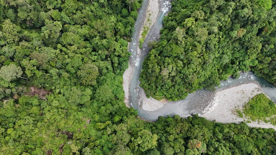 Indonesien - Kabupaten Langkat - 