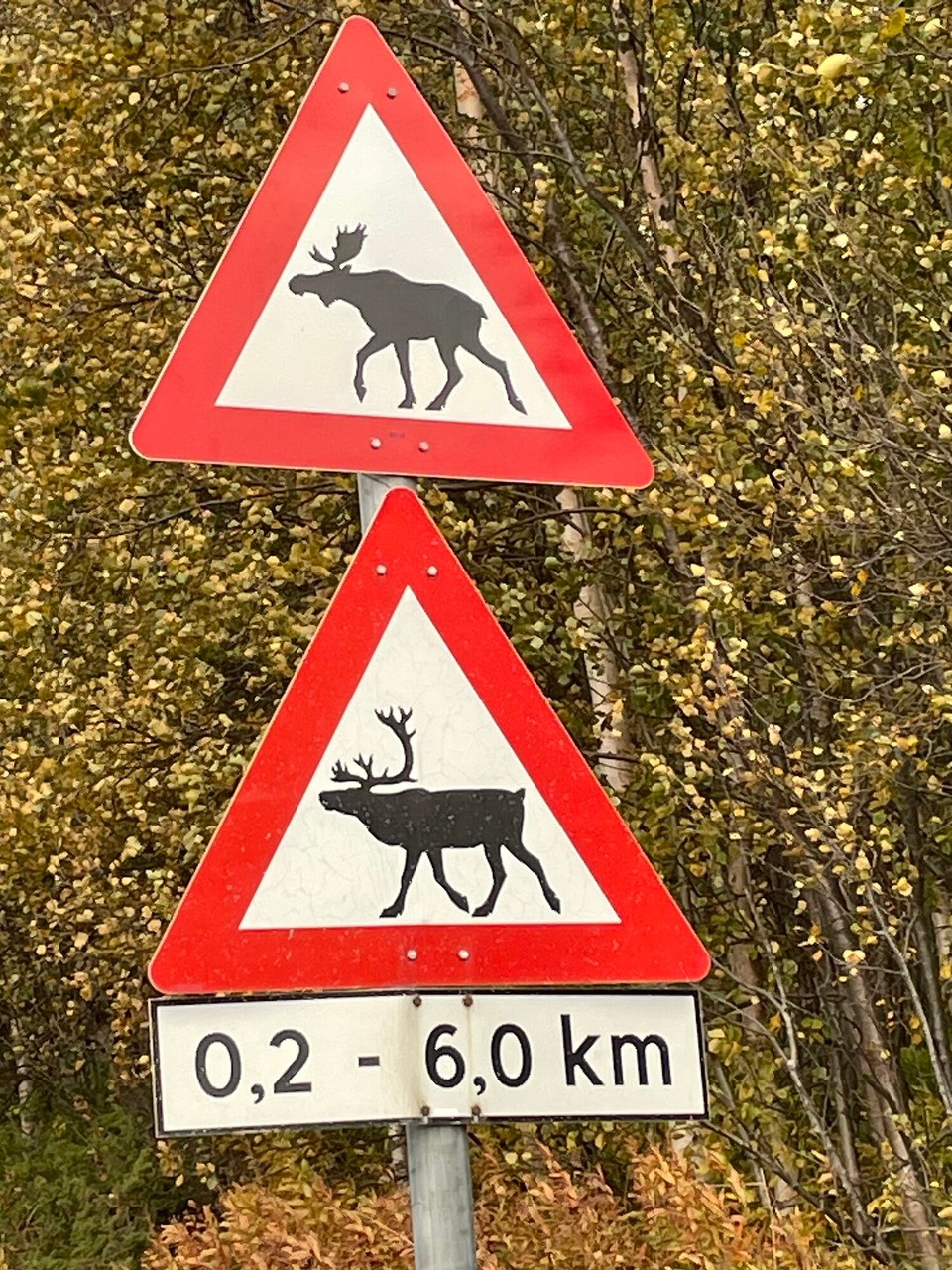 Norwegen - Alta - Finde den Unterschied 