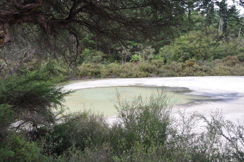 Neuseeland - Papamoa - 