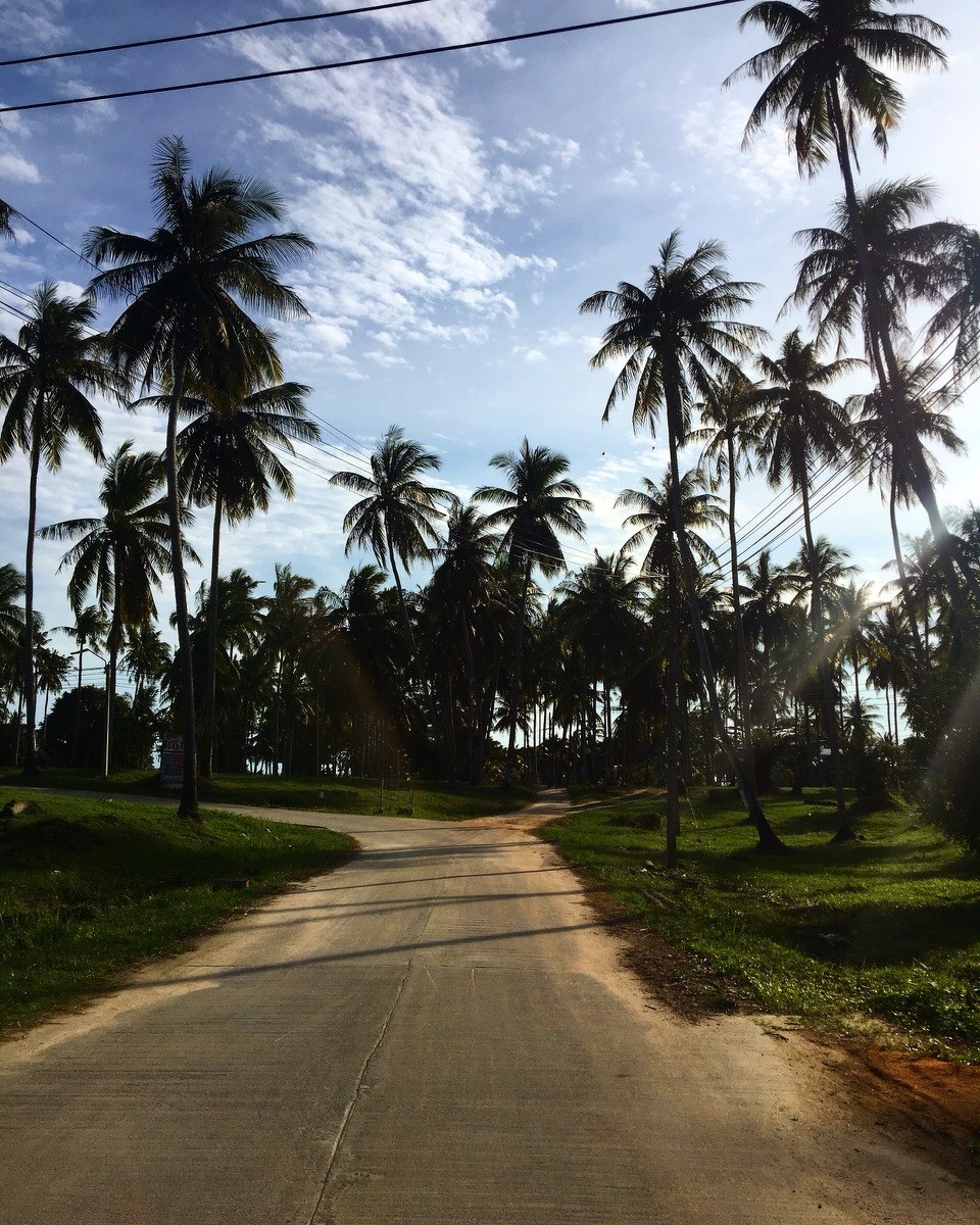 Thailand - Amphoe Ko Pha-ngan - 