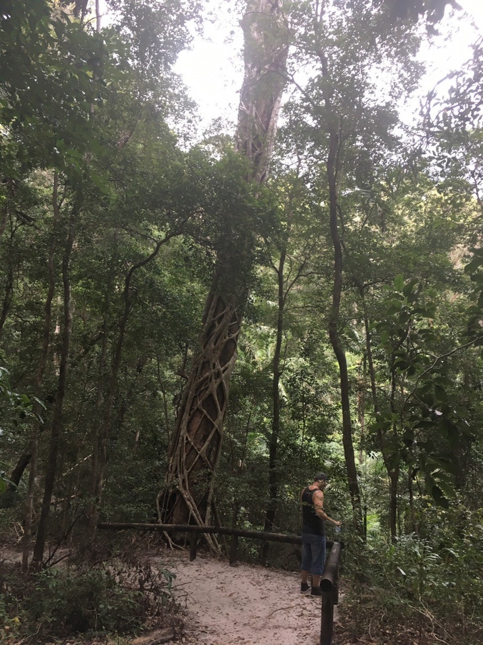  - Ausztrália, Wanggoolba Creek - 