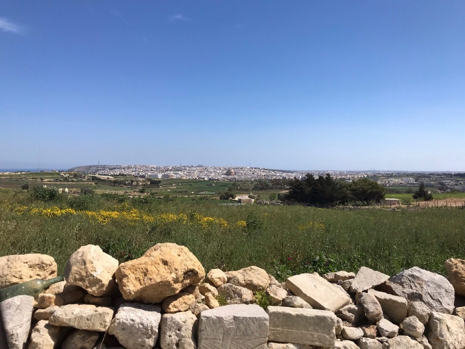 Malta - Dingli - 