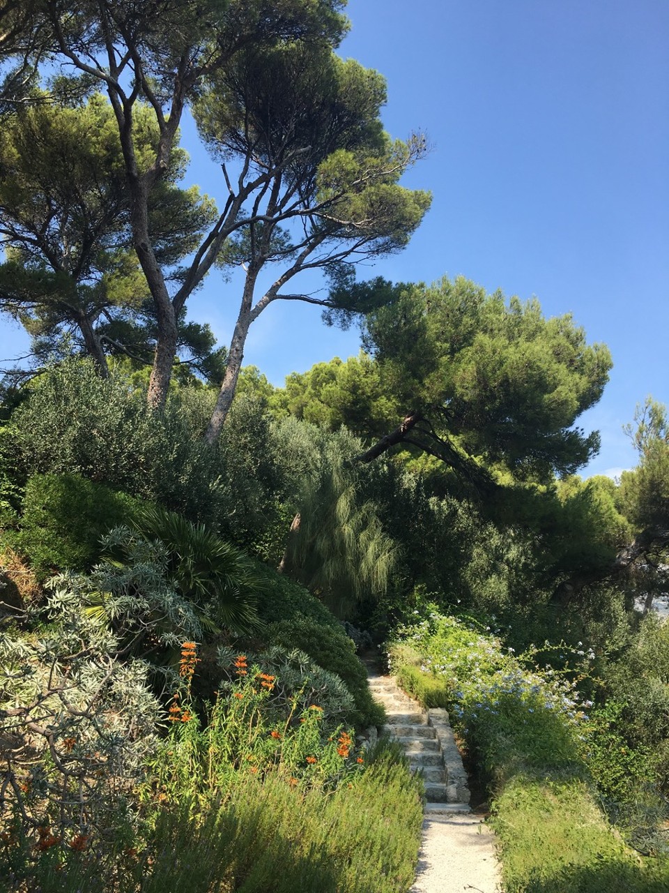 Frankreich - Saint-Jean-Cap-Ferrat - 