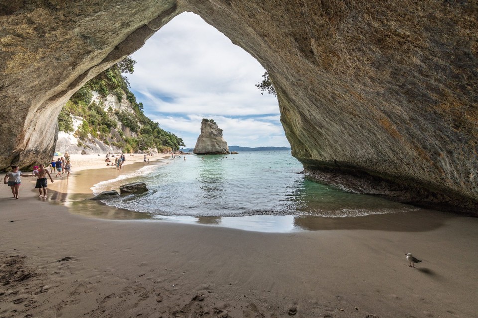 Neuseeland - Waitomo Central - 