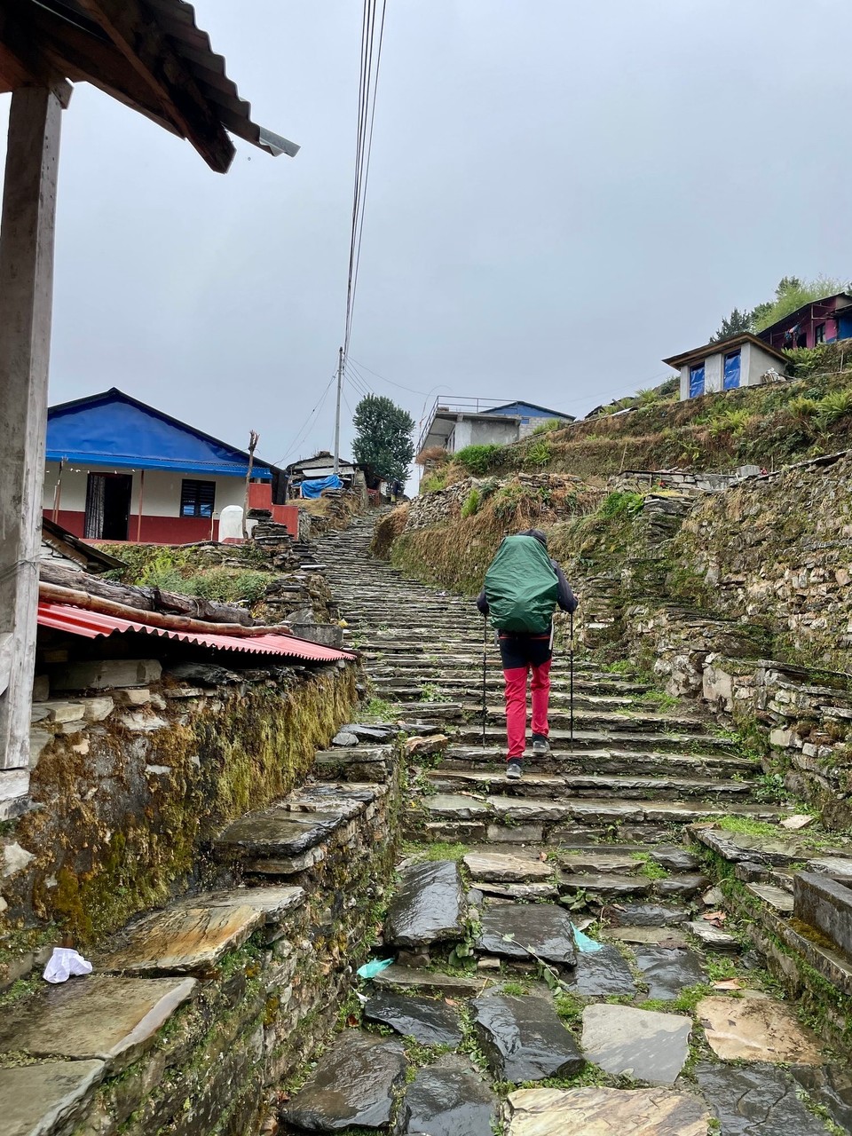 Nepal -  - 