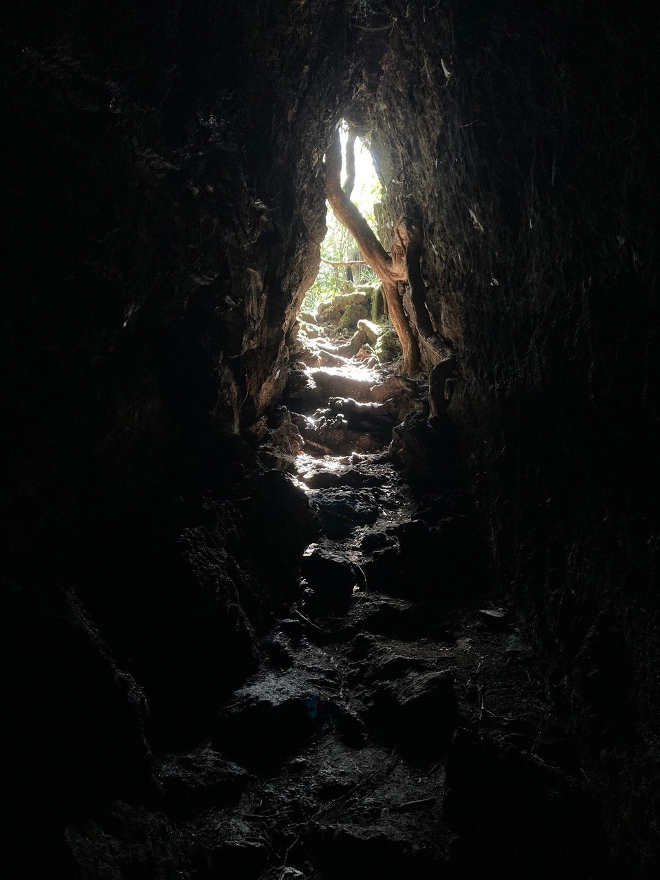 Neuseeland - Waitemata and Gulf Ward - 