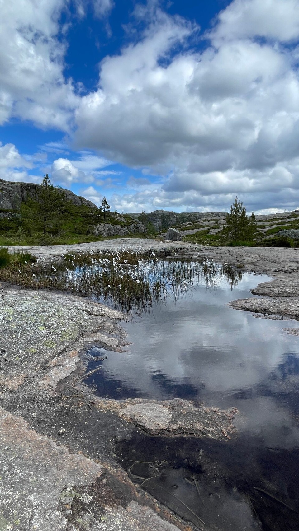 Norwegen - Stavanger - 