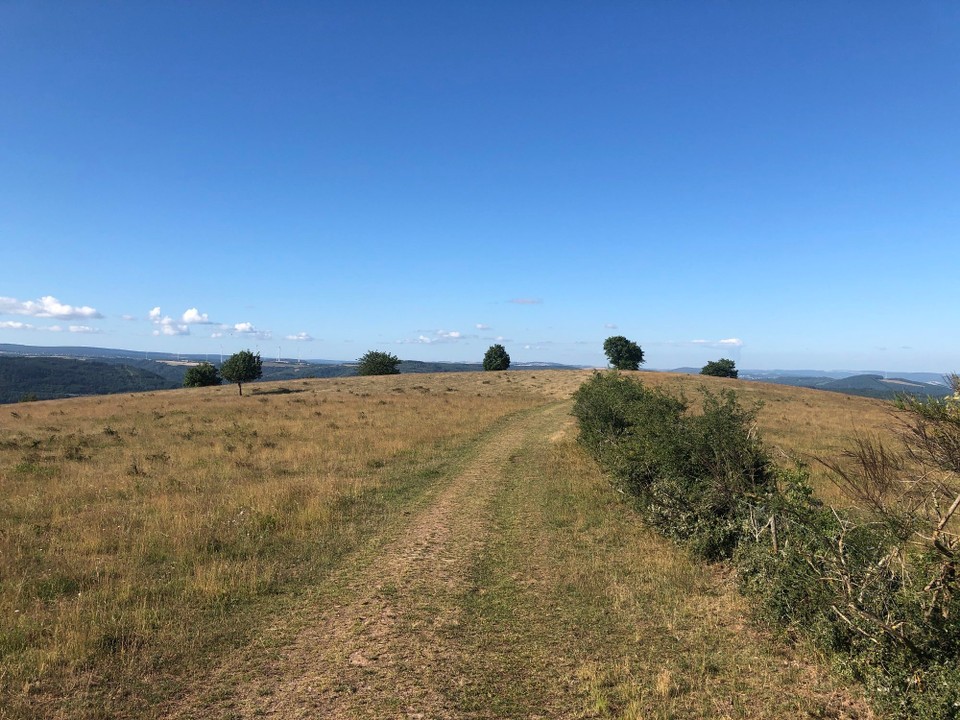 Deutschland - Mehring - Auf der Mehringer Kuppe