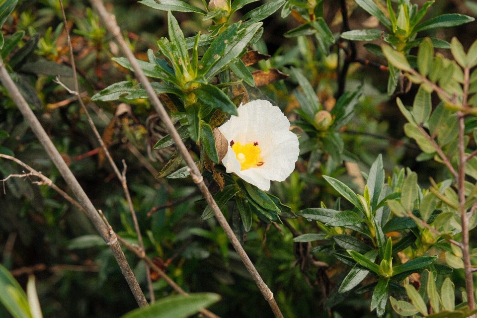Portugal - Aljezur - 