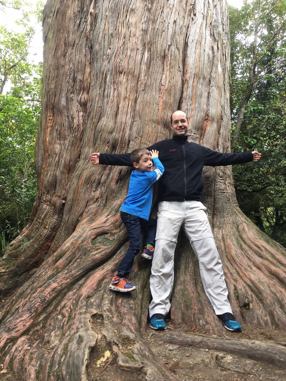 Neuseeland - Peel Forest - 