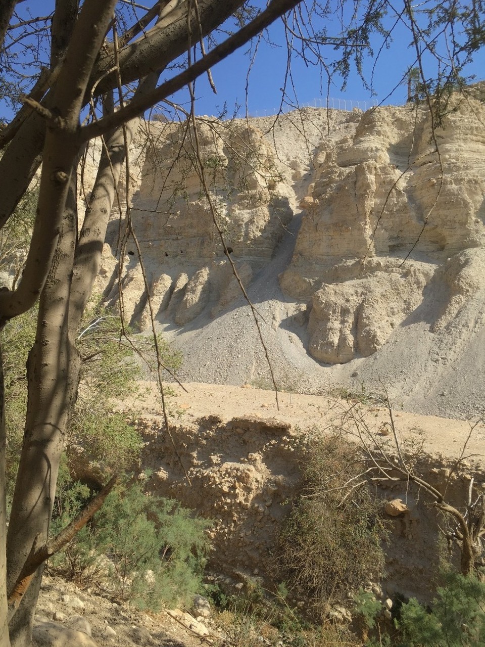 Israel - Ein Gedi - 
