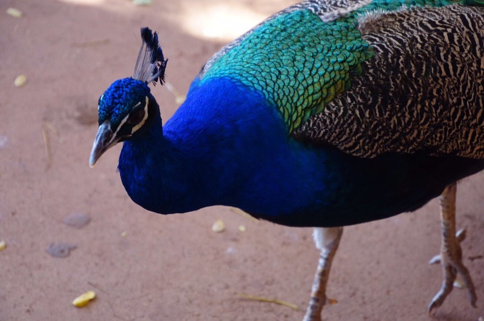  - Australien, Karijini-Nationalpark - 😊