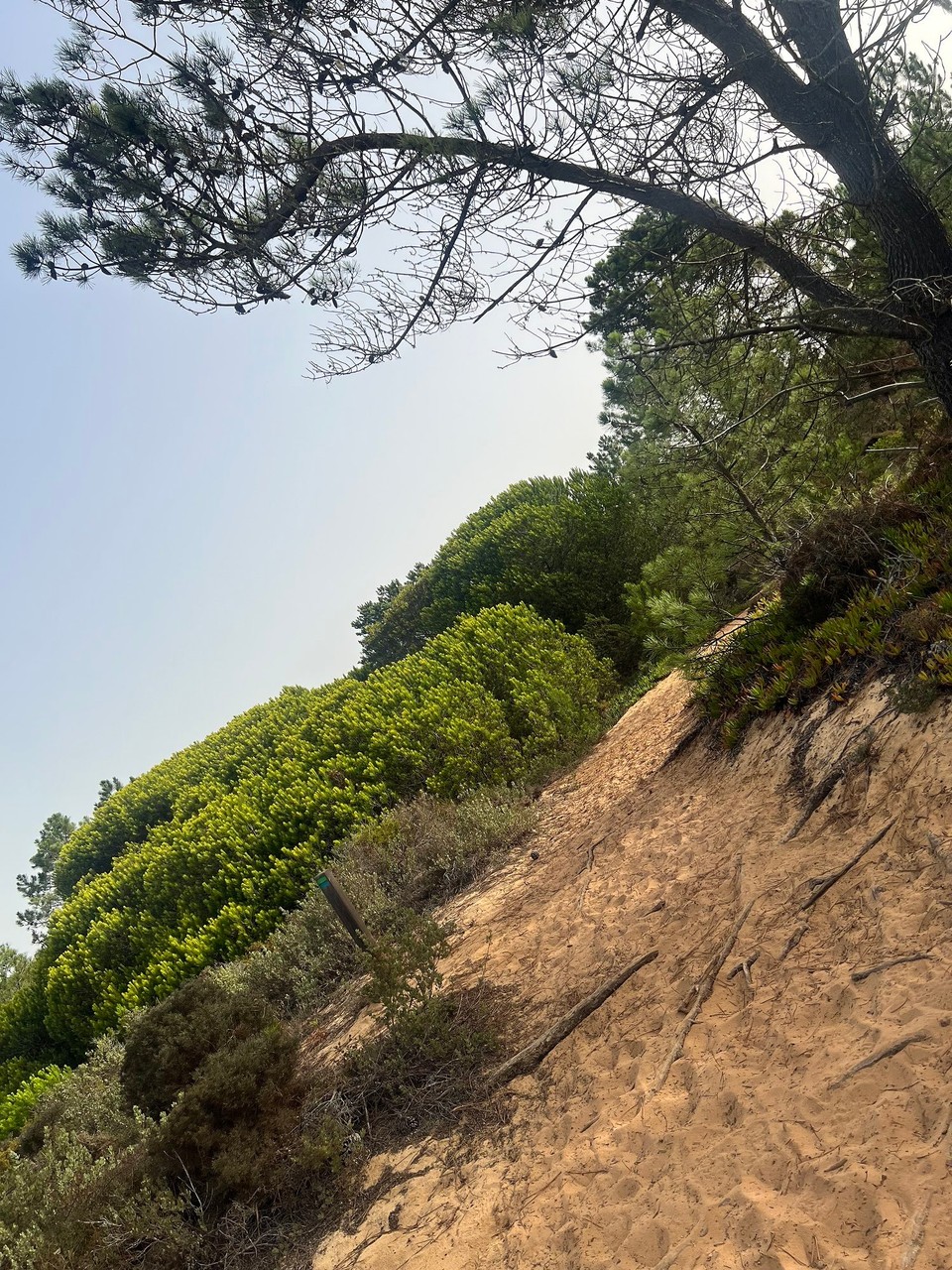 Ort bestimmen … -  - 