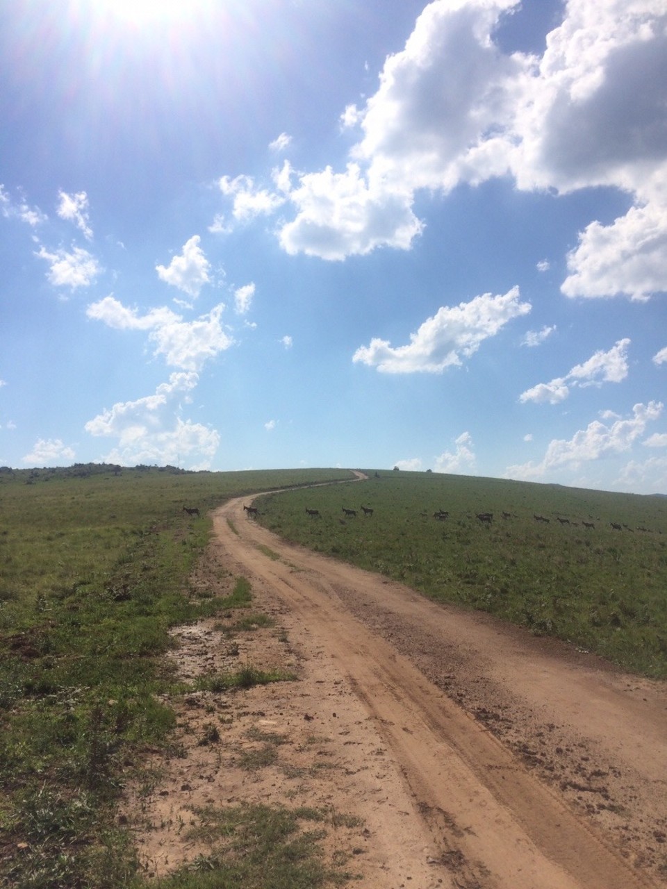 Swasiland -  - 